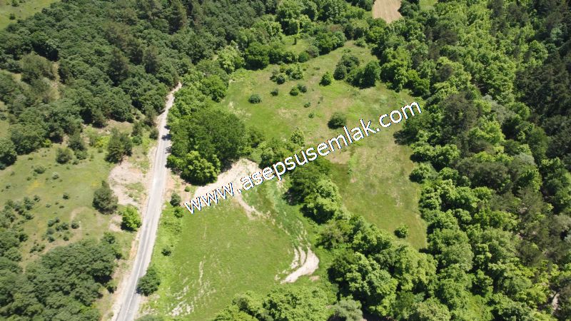 14.549 m2 Hobi Bahçesi Çiftlik Bağ-Bahçe Asfalt & Dereye Cepheli
