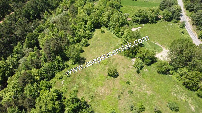 14.549 m2 Hobi Bahçesi Çiftlik Bağ-Bahçe Asfalt & Dereye Cepheli
