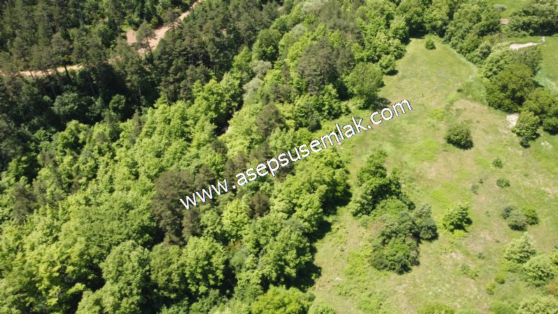 14.549 m2 Hobi Bahçesi Çiftlik Bağ-Bahçe Asfalt & Dereye Cepheli