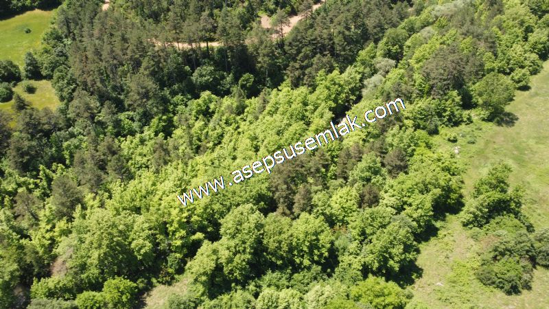 14.549 m2 Hobi Bahçesi Çiftlik Bağ-Bahçe Asfalt & Dereye Cepheli