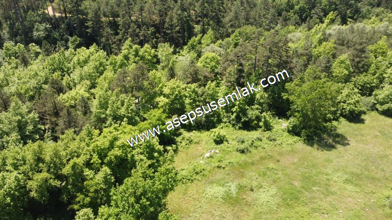 14.549 m2 Hobi Bahçesi Çiftlik Bağ-Bahçe Asfalt & Dereye Cepheli