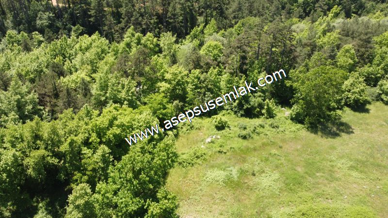 14.549 m2 Hobi Bahçesi Çiftlik Bağ-Bahçe Asfalt & Dereye Cepheli