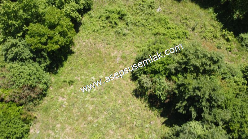 14.549 m2 Hobi Bahçesi Çiftlik Bağ-Bahçe Asfalt & Dereye Cepheli