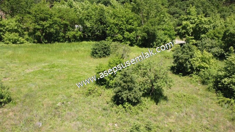 14.549 m2 Hobi Bahçesi Çiftlik Bağ-Bahçe Asfalt & Dereye Cepheli