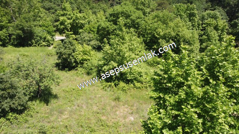 14.549 m2 Hobi Bahçesi Çiftlik Bağ-Bahçe Asfalt & Dereye Cepheli