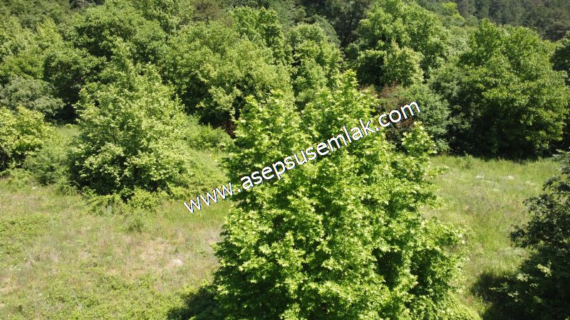 14.549 m2 Hobi Bahçesi Çiftlik Bağ-Bahçe Asfalt & Dereye Cepheli