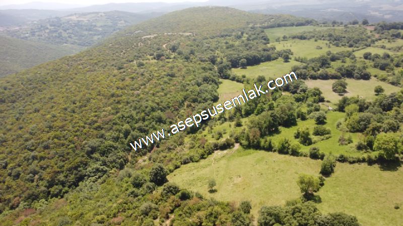 4.600 M2 Yatırımlık Meyva & Hobi Bahçesi Resmi Yolu ve Su Var..