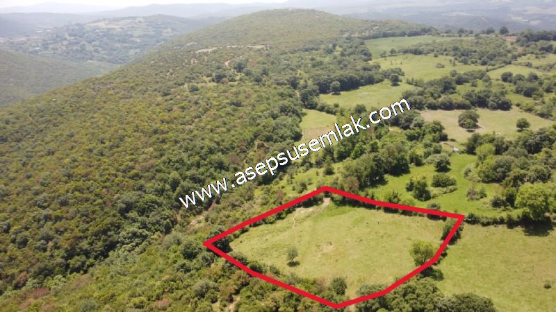 4.600 M2 Yatırımlık Meyva & Hobi Bahçesi Resmi Yolu ve Su Var..
