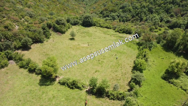 4.600 M2 Yatırımlık Meyva & Hobi Bahçesi Resmi Yolu ve Su Var..