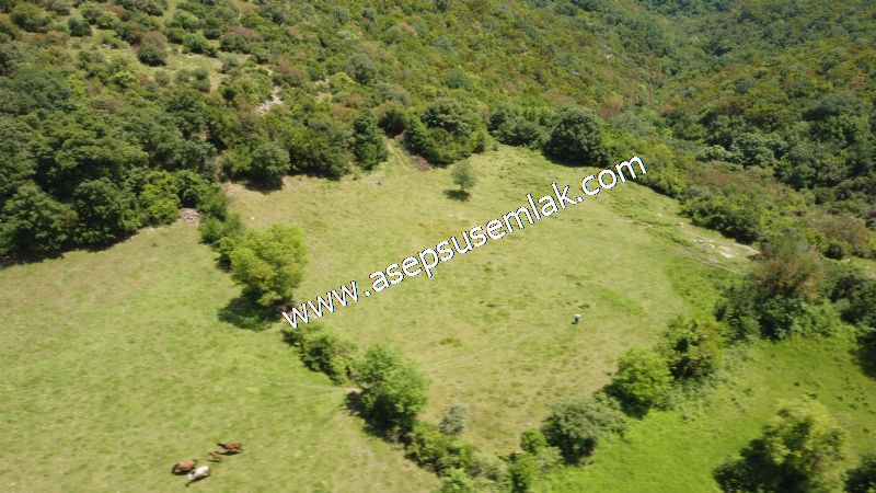 4.600 M2 Yatırımlık Meyva & Hobi Bahçesi Resmi Yolu ve Su Var..