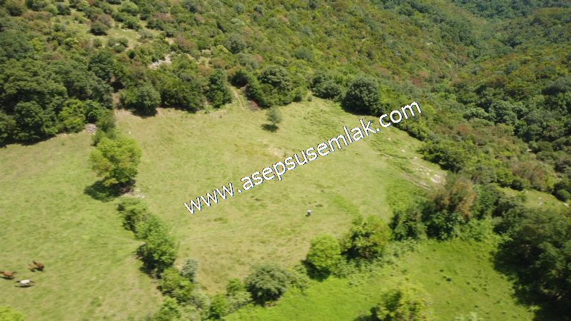 4.600 M2 Yatırımlık Meyva & Hobi Bahçesi Resmi Yolu ve Su Var..