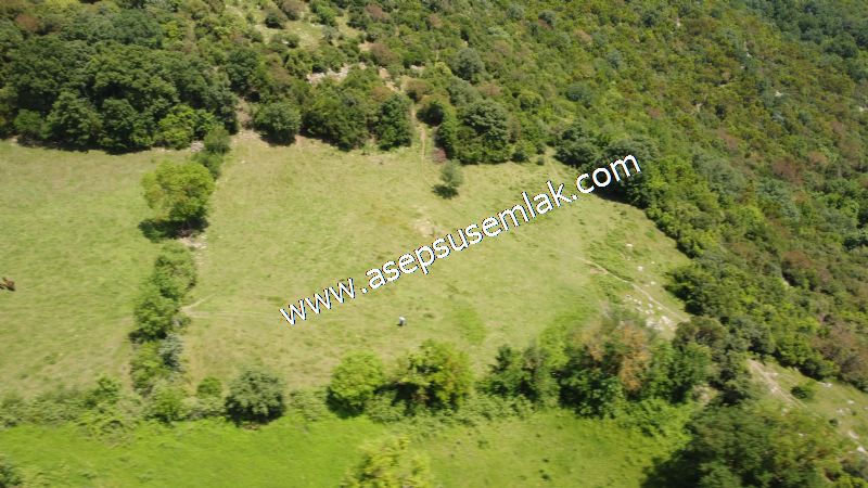4.600 M2 Yatırımlık Meyva & Hobi Bahçesi Resmi Yolu ve Su Var..