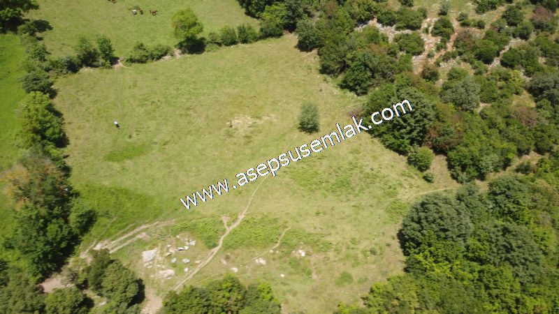 4.600 M2 Yatırımlık Meyva & Hobi Bahçesi Resmi Yolu ve Su Var..