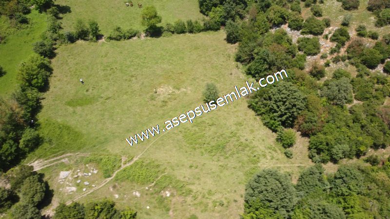 4.600 M2 Yatırımlık Meyva & Hobi Bahçesi Resmi Yolu ve Su Var..