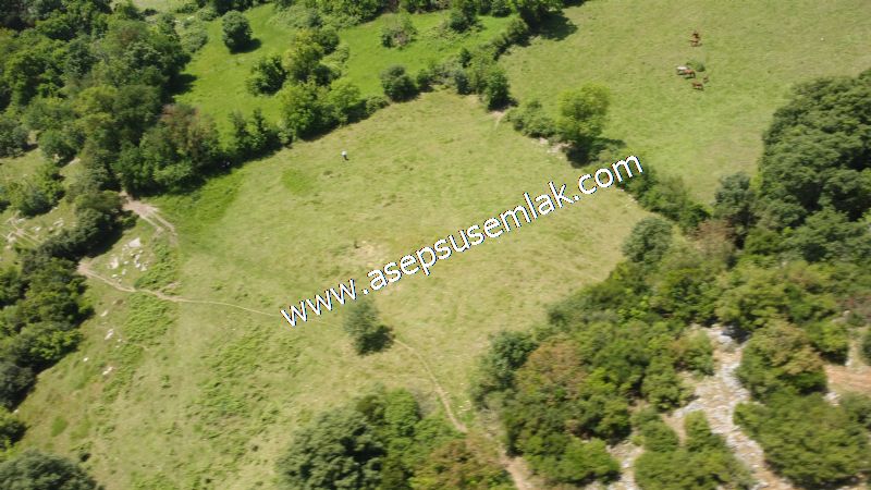 4.600 M2 Yatırımlık Meyva & Hobi Bahçesi Resmi Yolu ve Su Var..
