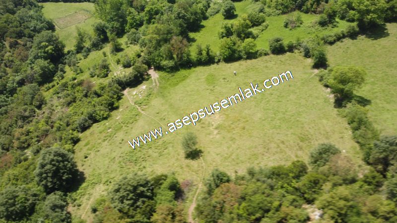 4.600 M2 Yatırımlık Meyva & Hobi Bahçesi Resmi Yolu ve Su Var..