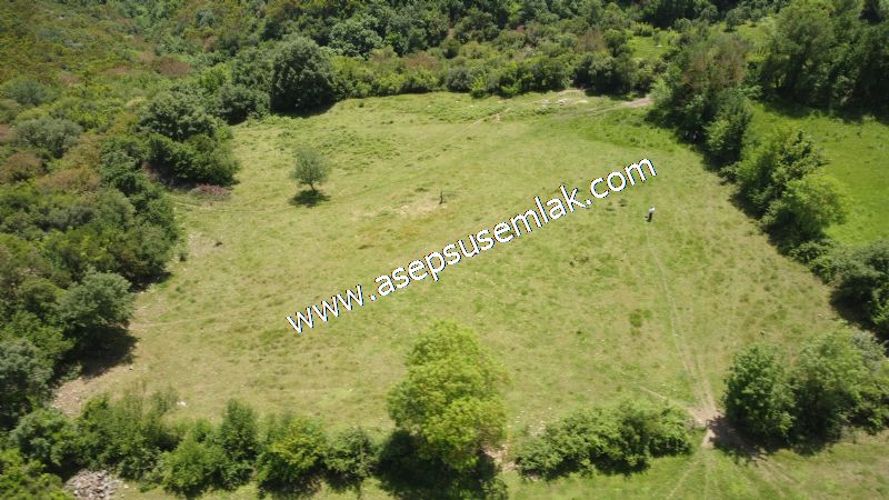 4.600 M2 Yatırımlık Meyva & Hobi Bahçesi Resmi Yolu ve Su Var..