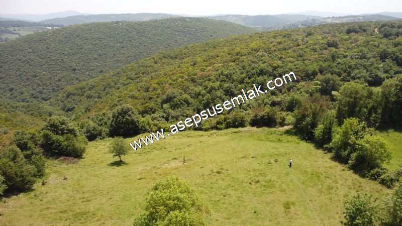 4.600 M2 Yatırımlık Meyva & Hobi Bahçesi Resmi Yolu ve Su Var..
