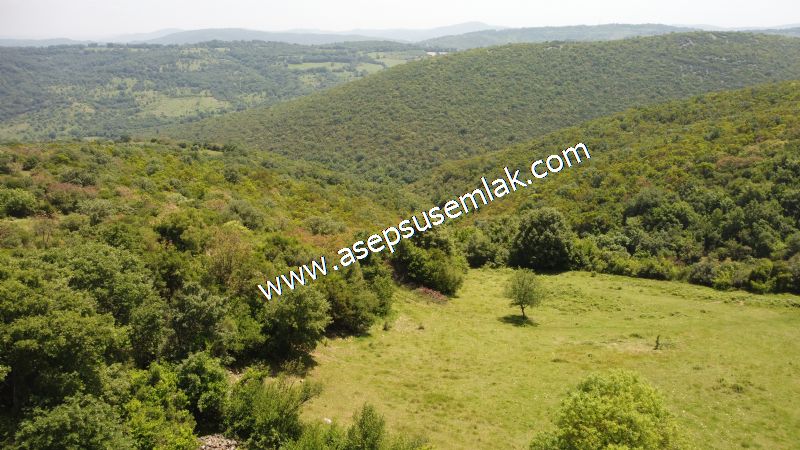 4.600 M2 Yatırımlık Meyva & Hobi Bahçesi Resmi Yolu ve Su Var..