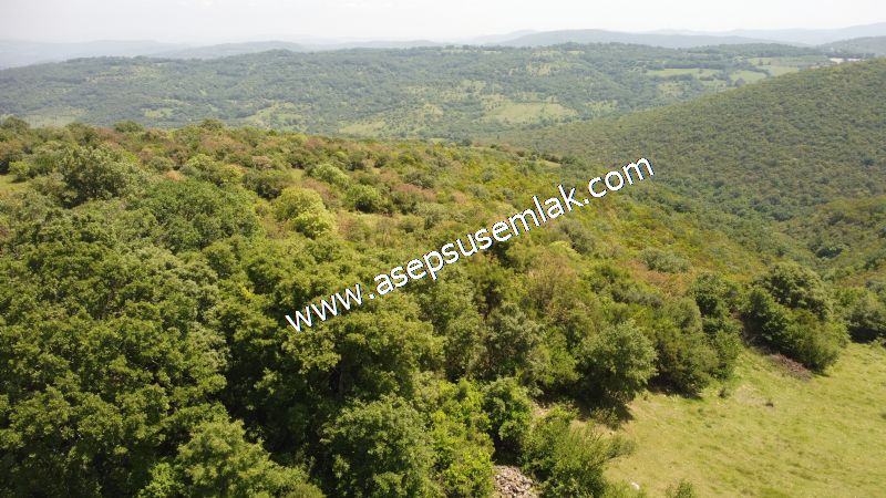4.600 M2 Yatırımlık Meyva & Hobi Bahçesi Resmi Yolu ve Su Var..