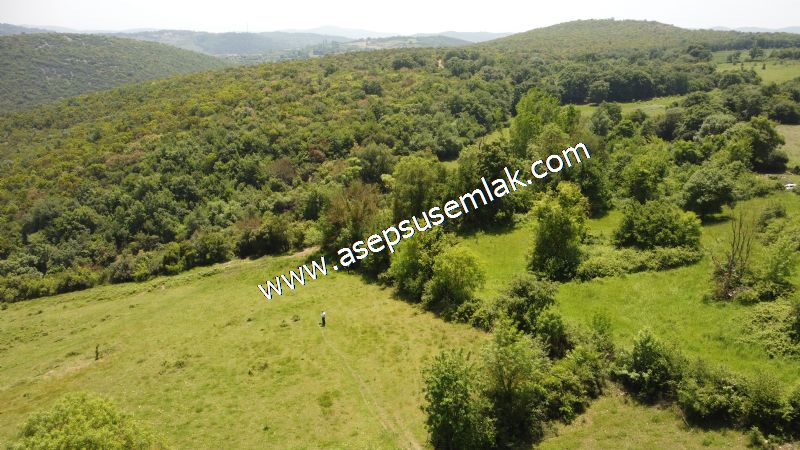 4.600 M2 Yatırımlık Meyva & Hobi Bahçesi Resmi Yolu ve Su Var..
