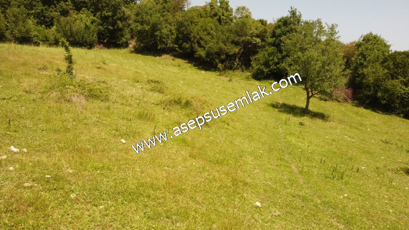 4.600 M2 Yatırımlık Meyva & Hobi Bahçesi Resmi Yolu ve Su Var..