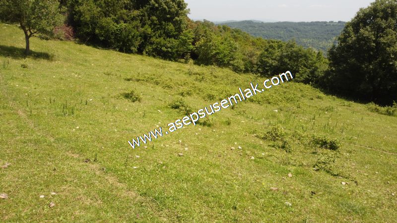 4.600 M2 Yatırımlık Meyva & Hobi Bahçesi Resmi Yolu ve Su Var..