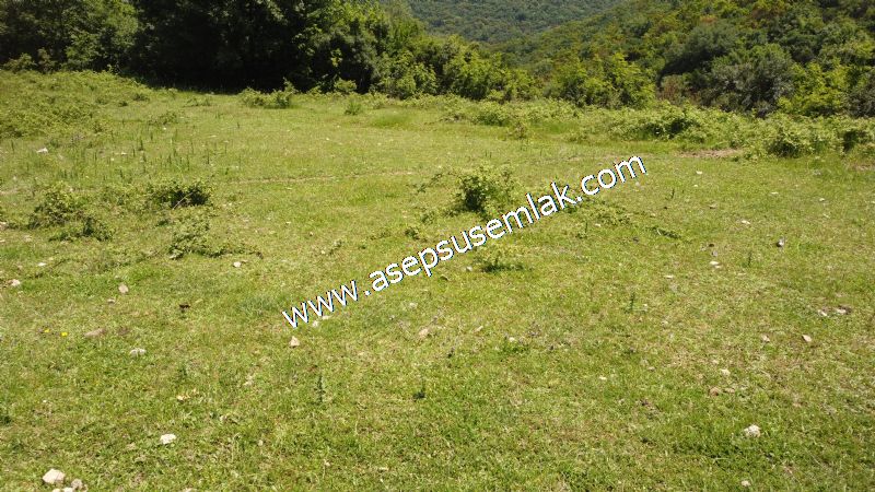 4.600 M2 Yatırımlık Meyva & Hobi Bahçesi Resmi Yolu ve Su Var..