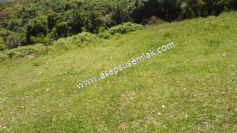 4.600 M2 Yatırımlık Meyva & Hobi Bahçesi Resmi Yolu ve Su Var..