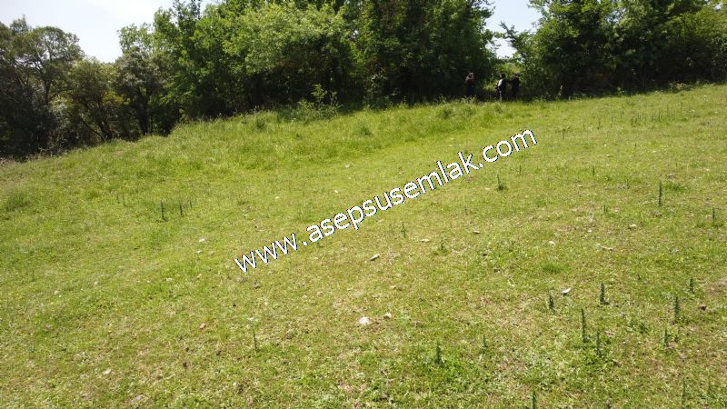 4.600 M2 Yatırımlık Meyva & Hobi Bahçesi Resmi Yolu ve Su Var..