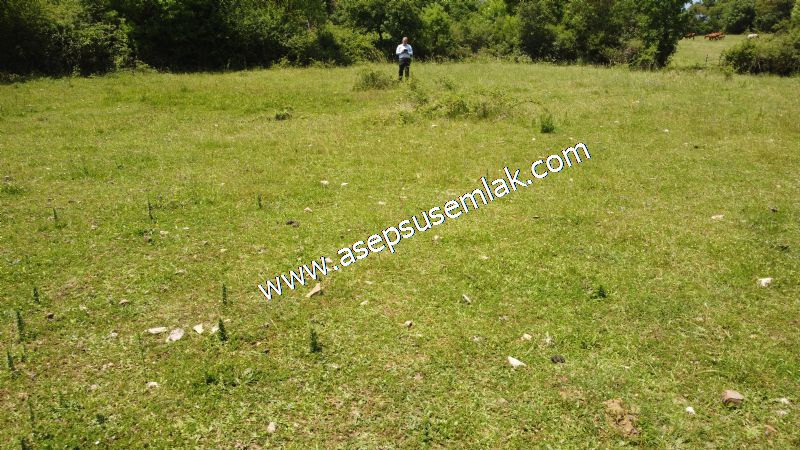 4.600 M2 Yatırımlık Meyva & Hobi Bahçesi Resmi Yolu ve Su Var..