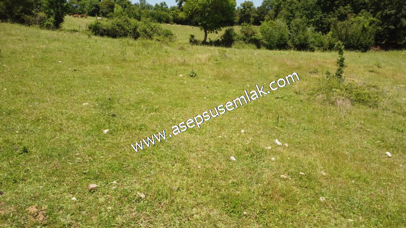 4.600 M2 Yatırımlık Meyva & Hobi Bahçesi Resmi Yolu ve Su Var..
