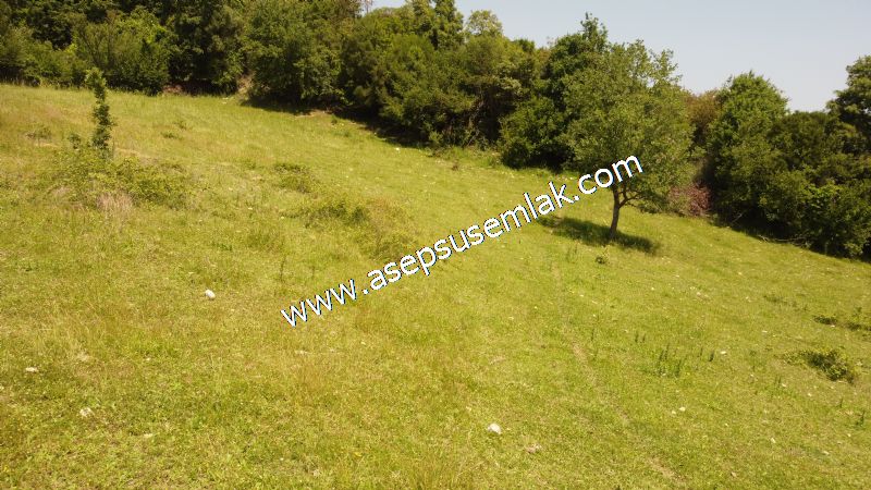 4.600 M2 Yatırımlık Meyva & Hobi Bahçesi Resmi Yolu ve Su Var..