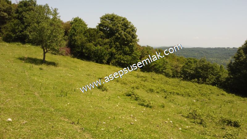 4.600 M2 Yatırımlık Meyva & Hobi Bahçesi Resmi Yolu ve Su Var..