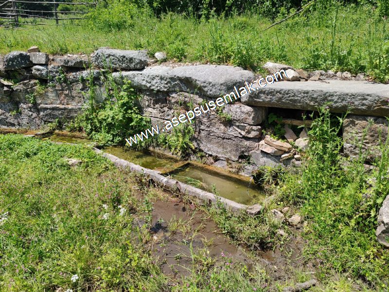 4.600 M2 Yatırımlık Meyva & Hobi Bahçesi Resmi Yolu ve Su Var..