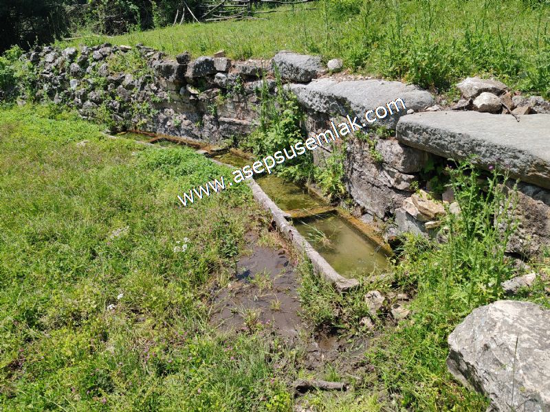 4.600 M2 Yatırımlık Meyva & Hobi Bahçesi Resmi Yolu ve Su Var..
