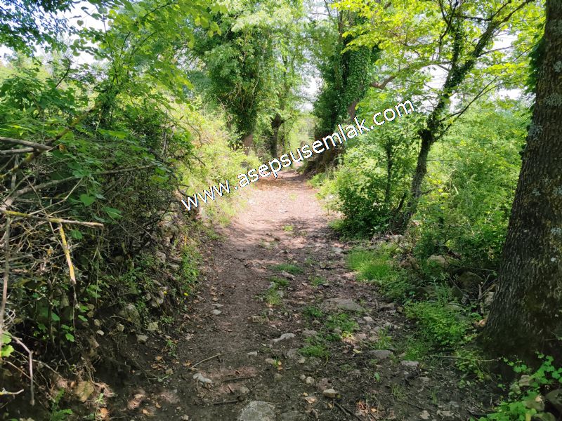 4.600 M2 Yatırımlık Meyva & Hobi Bahçesi Resmi Yolu ve Su Var..