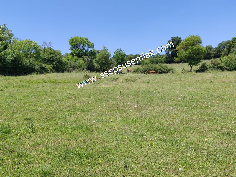 4.600 M2 Yatırımlık Meyva & Hobi Bahçesi Resmi Yolu ve Su Var..