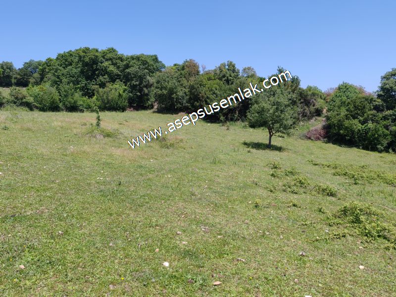 4.600 M2 Yatırımlık Meyva & Hobi Bahçesi Resmi Yolu ve Su Var..
