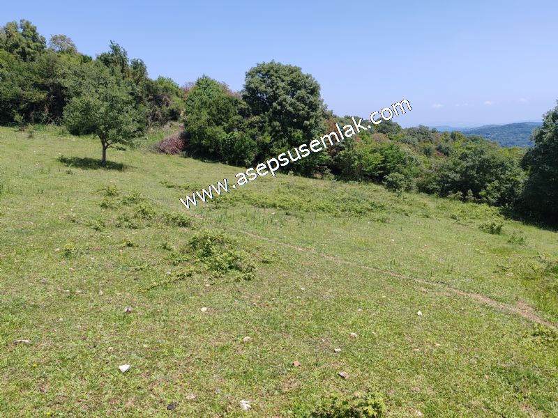 4.600 M2 Yatırımlık Meyva & Hobi Bahçesi Resmi Yolu ve Su Var..