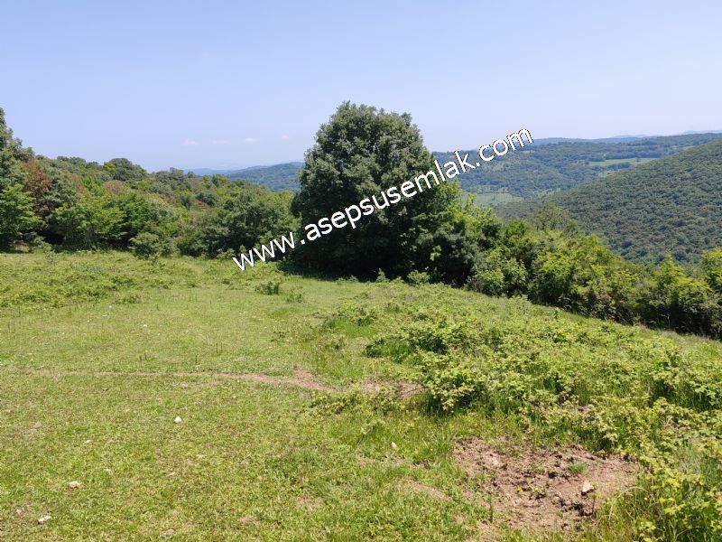 4.600 M2 Yatırımlık Meyva & Hobi Bahçesi Resmi Yolu ve Su Var..