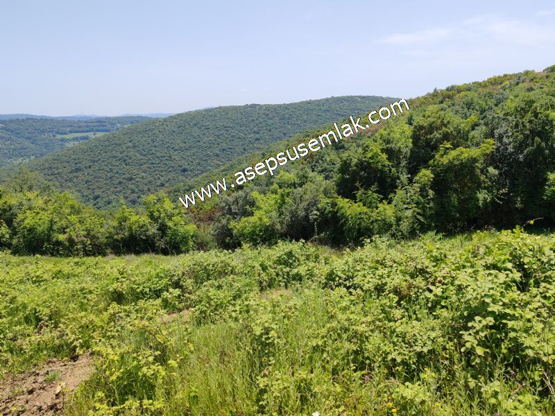 4.600 M2 Yatırımlık Meyva & Hobi Bahçesi Resmi Yolu ve Su Var..