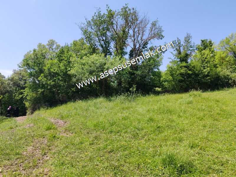 4.600 M2 Yatırımlık Meyva & Hobi Bahçesi Resmi Yolu ve Su Var..