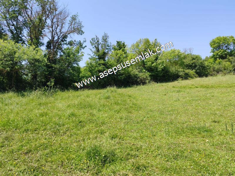 4.600 M2 Yatırımlık Meyva & Hobi Bahçesi Resmi Yolu ve Su Var..