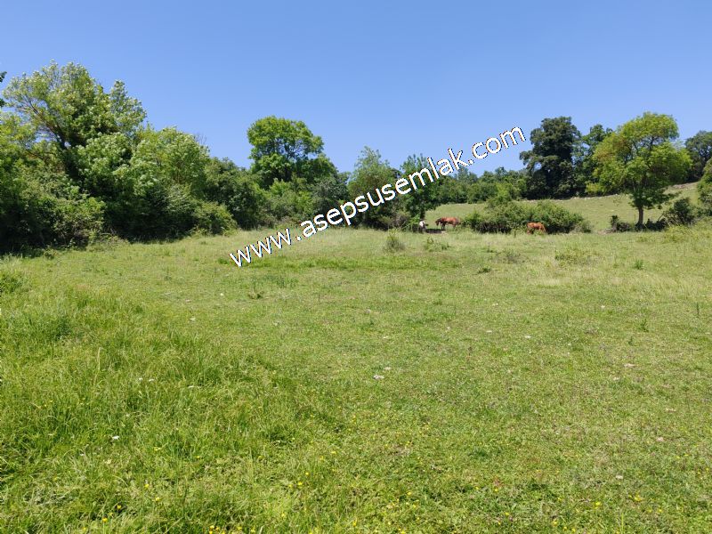 4.600 M2 Yatırımlık Meyva & Hobi Bahçesi Resmi Yolu ve Su Var..