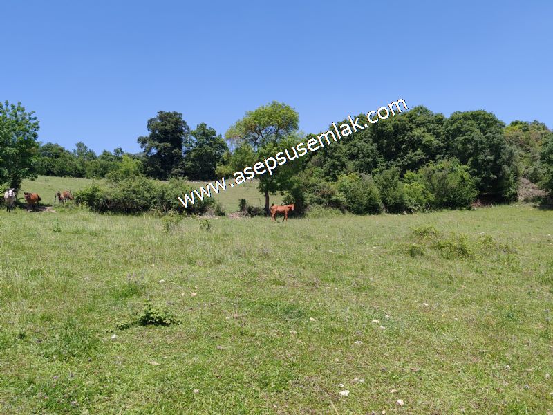 4.600 M2 Yatırımlık Meyva & Hobi Bahçesi Resmi Yolu ve Su Var..