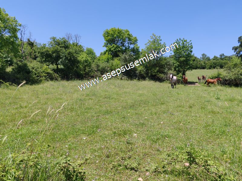 4.600 M2 Yatırımlık Meyva & Hobi Bahçesi Resmi Yolu ve Su Var..