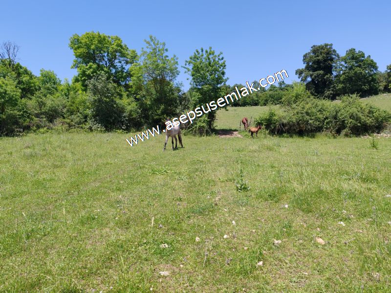4.600 M2 Yatırımlık Meyva & Hobi Bahçesi Resmi Yolu ve Su Var..