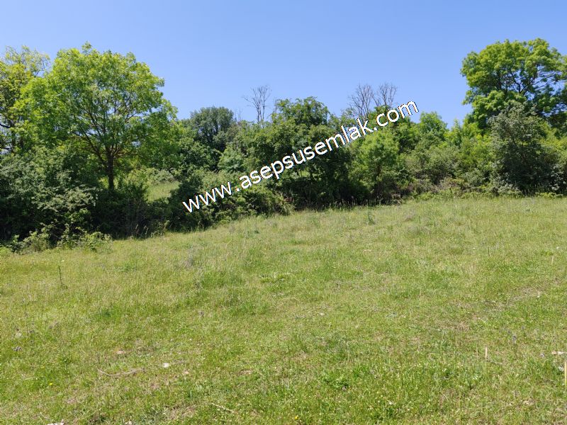 4.600 M2 Yatırımlık Meyva & Hobi Bahçesi Resmi Yolu ve Su Var..