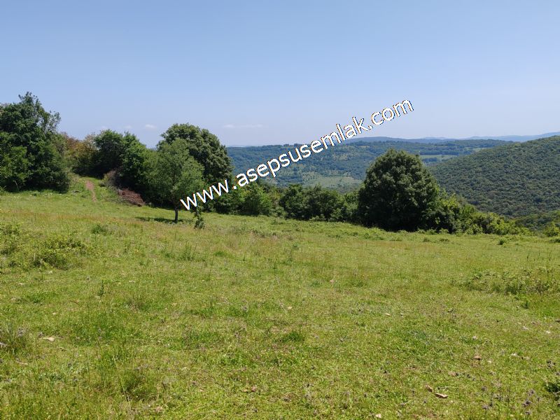 4.600 M2 Yatırımlık Meyva & Hobi Bahçesi Resmi Yolu ve Su Var..